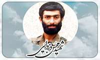دانشجوی دوره دکتری تخصصی اقتصاد سلامت برگزیده طرح شهید وزوایی