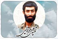 دانشجوی دوره دکتری تخصصی اقتصاد سلامت برگزیده طرح شهید وزوایی